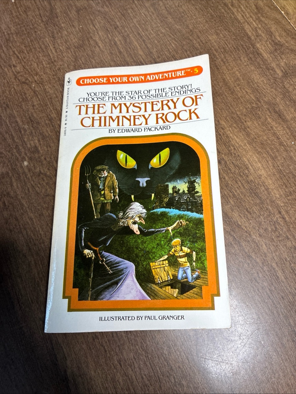 The Mystery Of Chimney Rock Choose Your Own adventure Book #5 1980 6th Edition